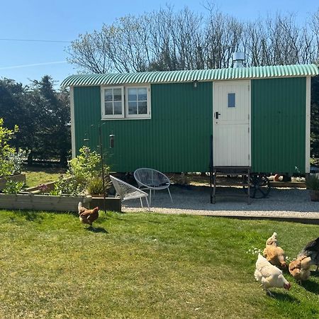 Toms Hut And Robins Rest Shepherd Huts Near Wadebridge Esterno foto