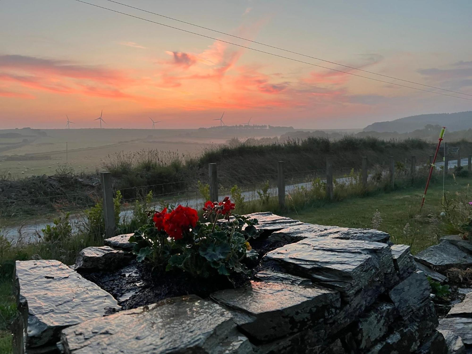 Toms Hut And Robins Rest Shepherd Huts Near Wadebridge Esterno foto