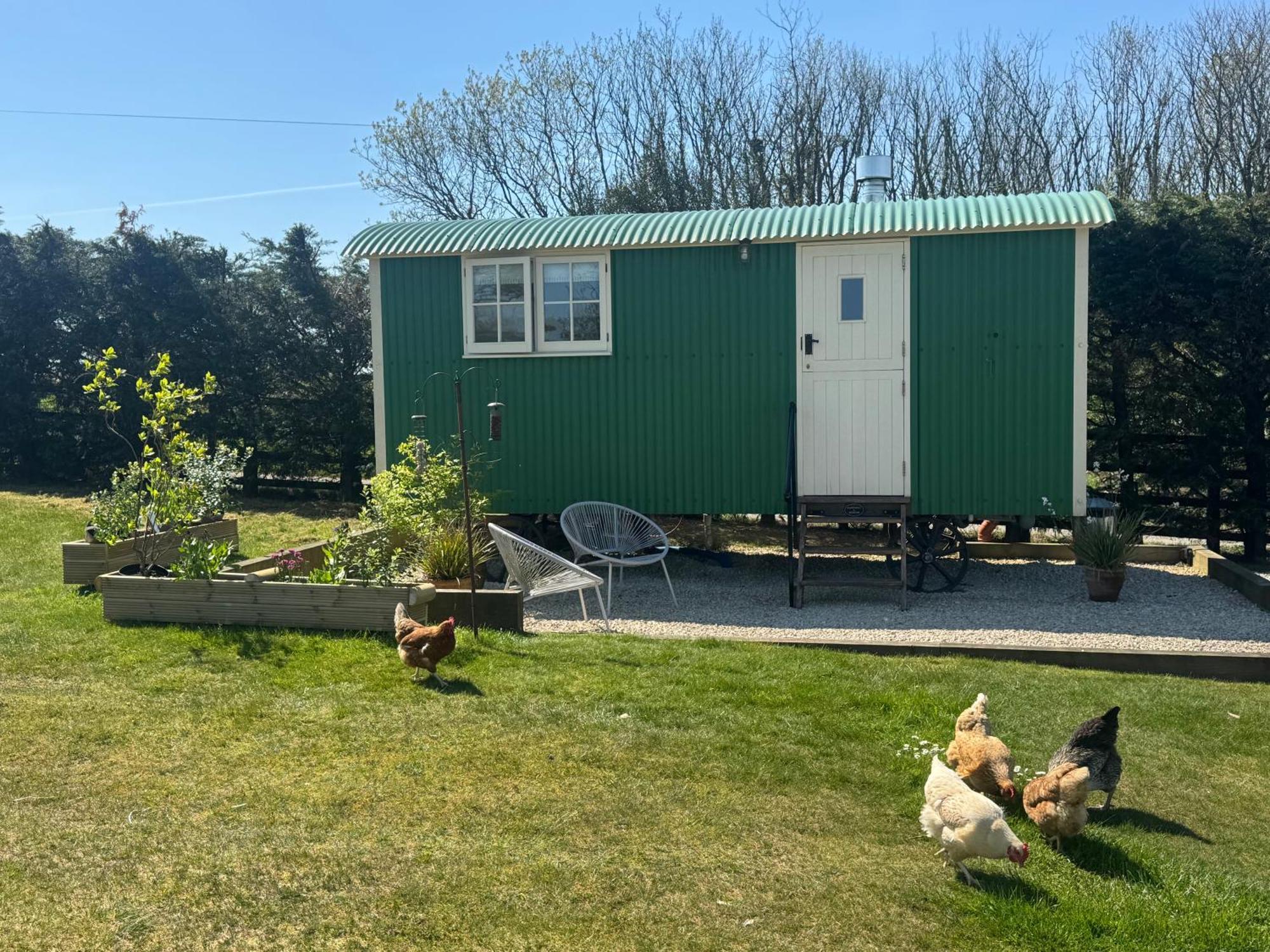 Toms Hut And Robins Rest Shepherd Huts Near Wadebridge Esterno foto